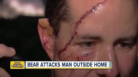 Bear attacks man in Naples near high school