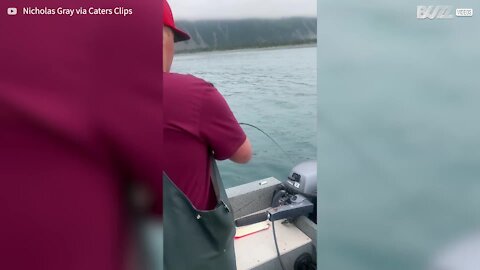 Un requin vole le poisson d'un pêcheur en Alaska