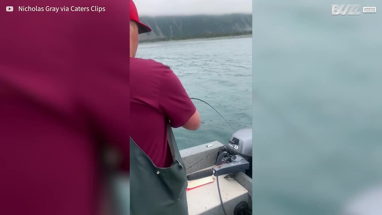 Un requin vole le poisson d'un pĂȘcheur en Alaska