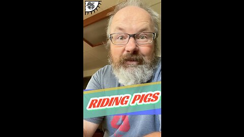 RIDING PIGS #pigs #hogs #rodeo