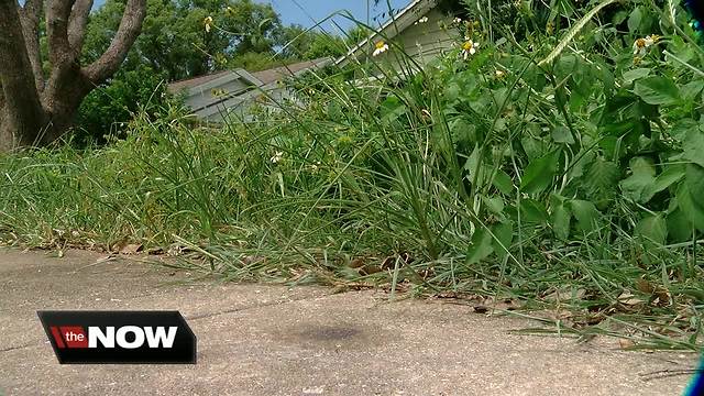 Woman living inside Pasco County home to appear in court for 'mini landfill'