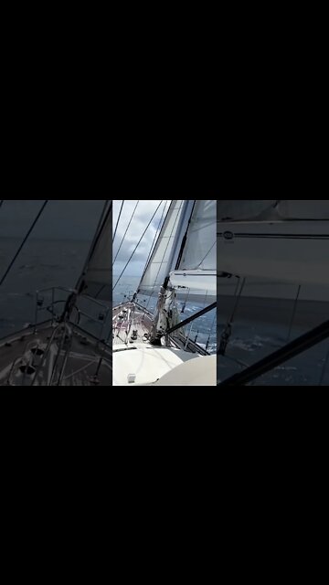 Life isn’t about waiting for the winds to change #shorts