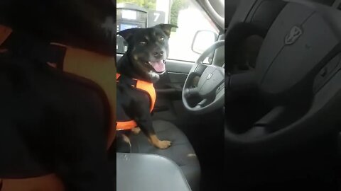 Max being Max.
