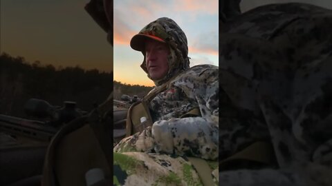 Unexpected Visitors #shorts #deer #deerhunting
