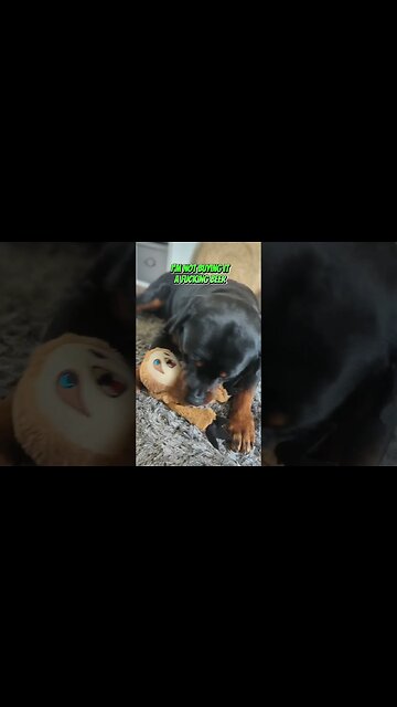 When I bring my DOG 🐕 Bowling 🎳 #dog #dogcomedy #dogshorts