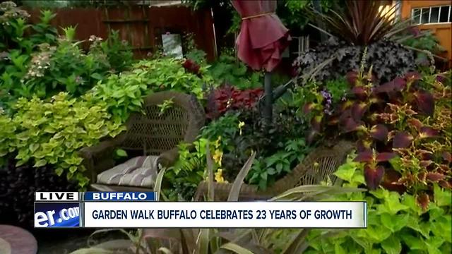 Gardeners show off their gardens for GardenWalk Buffalo