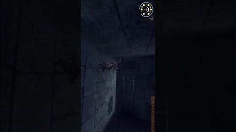 #secret #secretweapon #secretweapons #warriorwithin #gameplay #game #princeofpersia #gamer #ubisoft