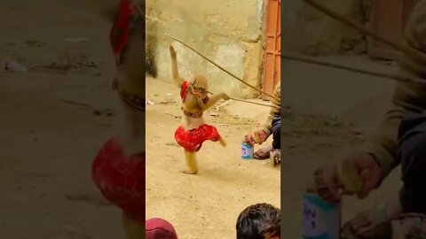 amazing video 😍😍😍 | amazing views video 😳😳 | natural amazing video ❤ whatsapp comedy #shorts