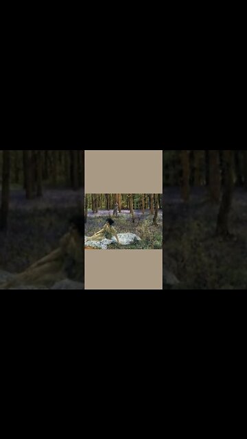 Alma Tadema painting collection Part 11 #shorts