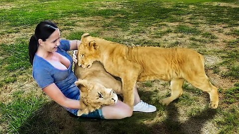 Animals are human's friend ️#pet #cat #dog #cute #animals