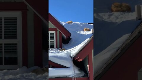 Neighborhoods Tiktok tarhee6