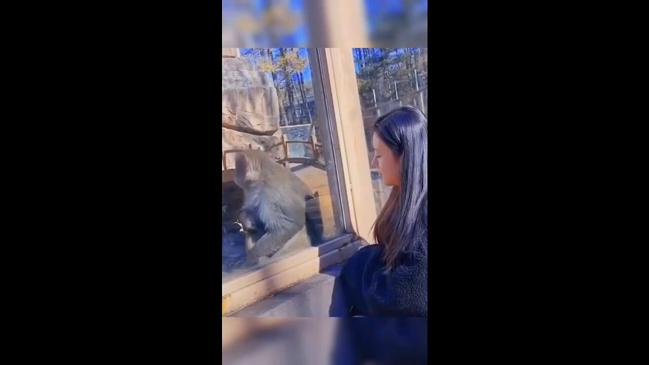 Funny monkey reaction!