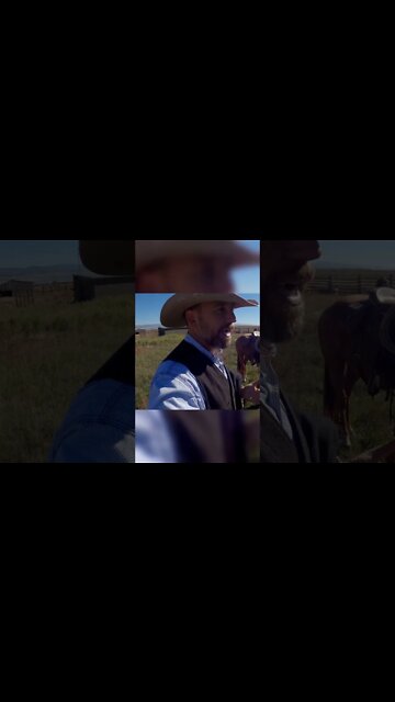 Is Weaning Calves Mean?