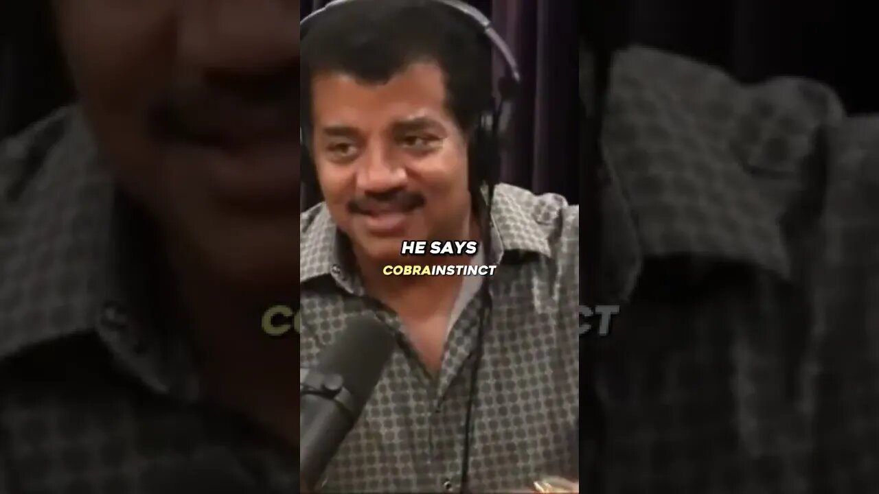 Neil Tyson and Joe Rogan on Columbus