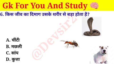 किस जीव का दिमाग उसके शरीर से बड़ा होता है? ‎@CrazyGkTrick #gkinhindi #gkquiz #gkfacts ‎