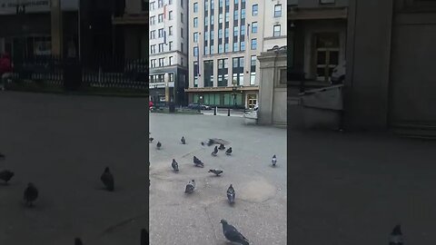 The Ghetto Birds tried to attack me movie