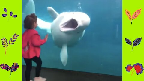 What can happen at the zoo?