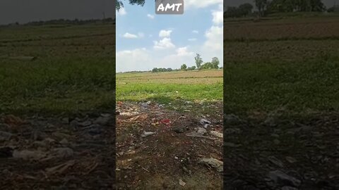 mai kala tu gori