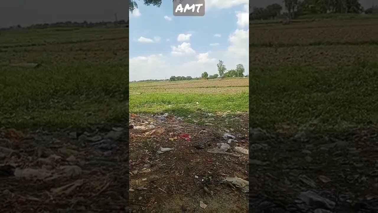 mai kala tu gori