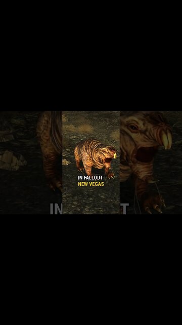 Snuffles the Tame Molerat FIGHTING for the NCR