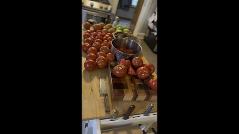 Tomato harvest