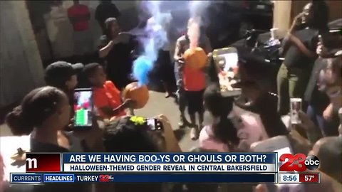 Halloween-themed gender reveal in Central Bakersfield