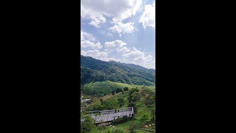 Beautifull view Nature
