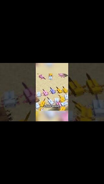 "the NEW rarest mob in Minecraft (1.17)"