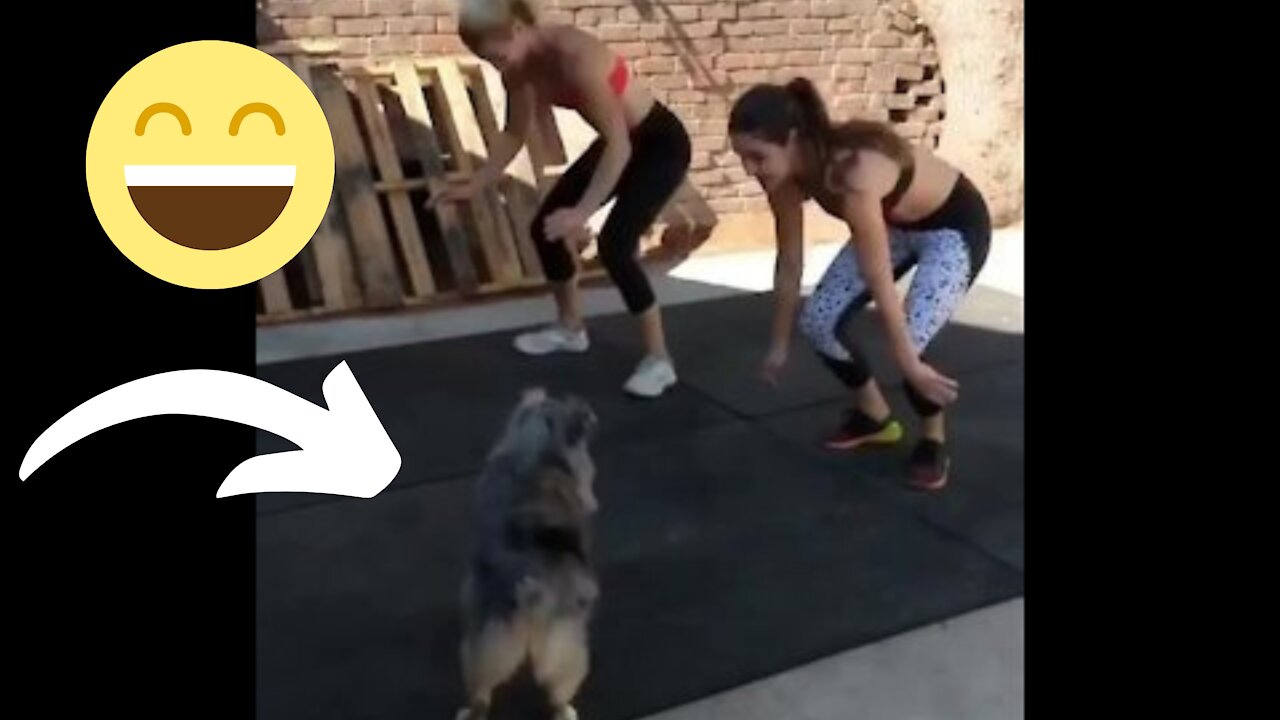 Dog trains to be a champion !! 🐶The best!!