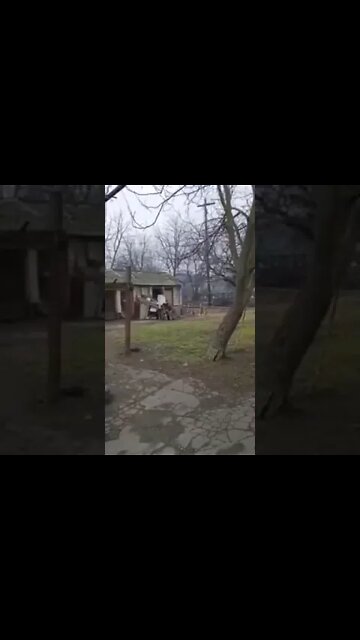 Ukraine War - Russian tanks in Andreevka