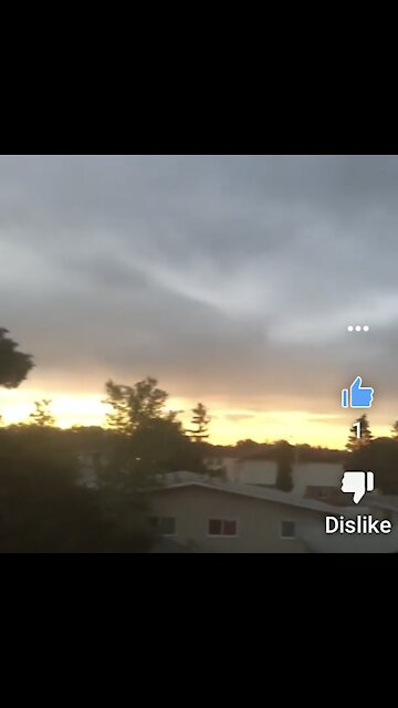 Birds tweet GoOd MoRnInG Edmonton 14/6/2021