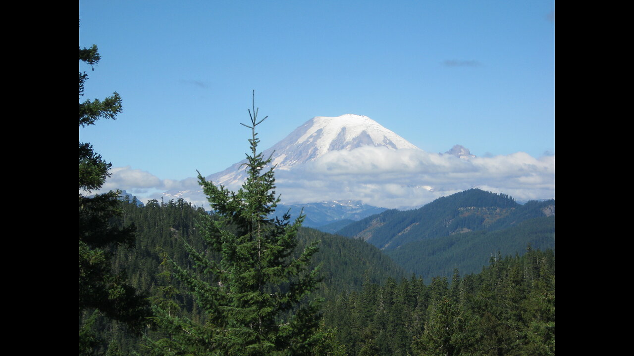 Different Visions for Washington State