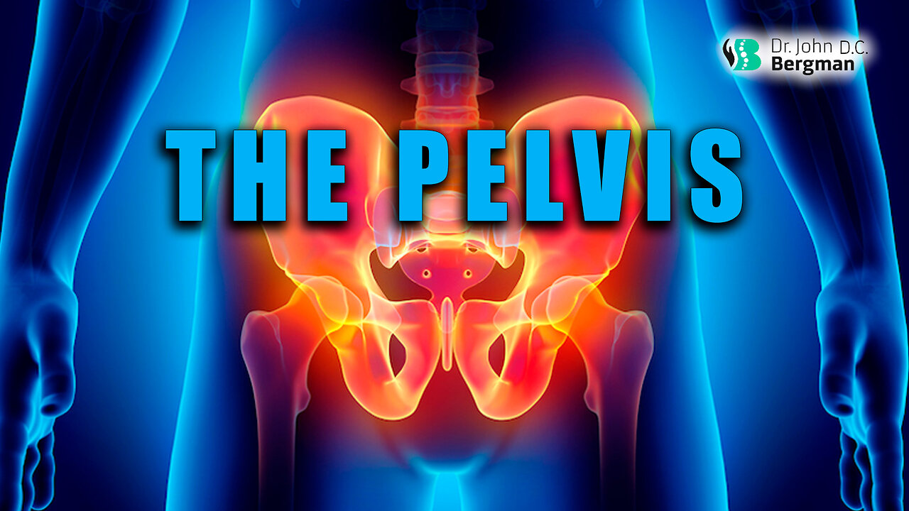 The Pelvis