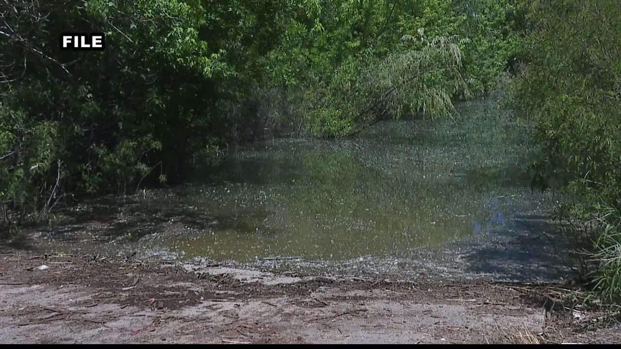 Mosquito season creeps in as weather warms up