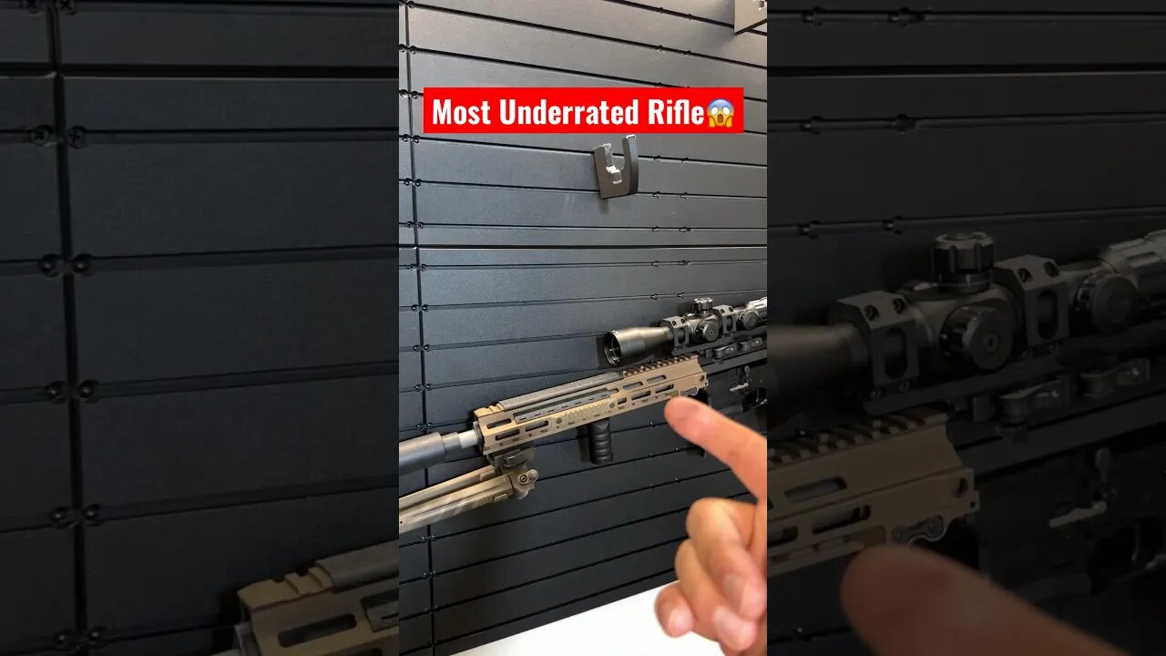 Most UnderRated Rifle😱