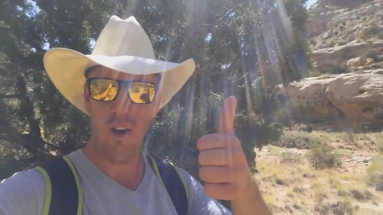 Greetings from America