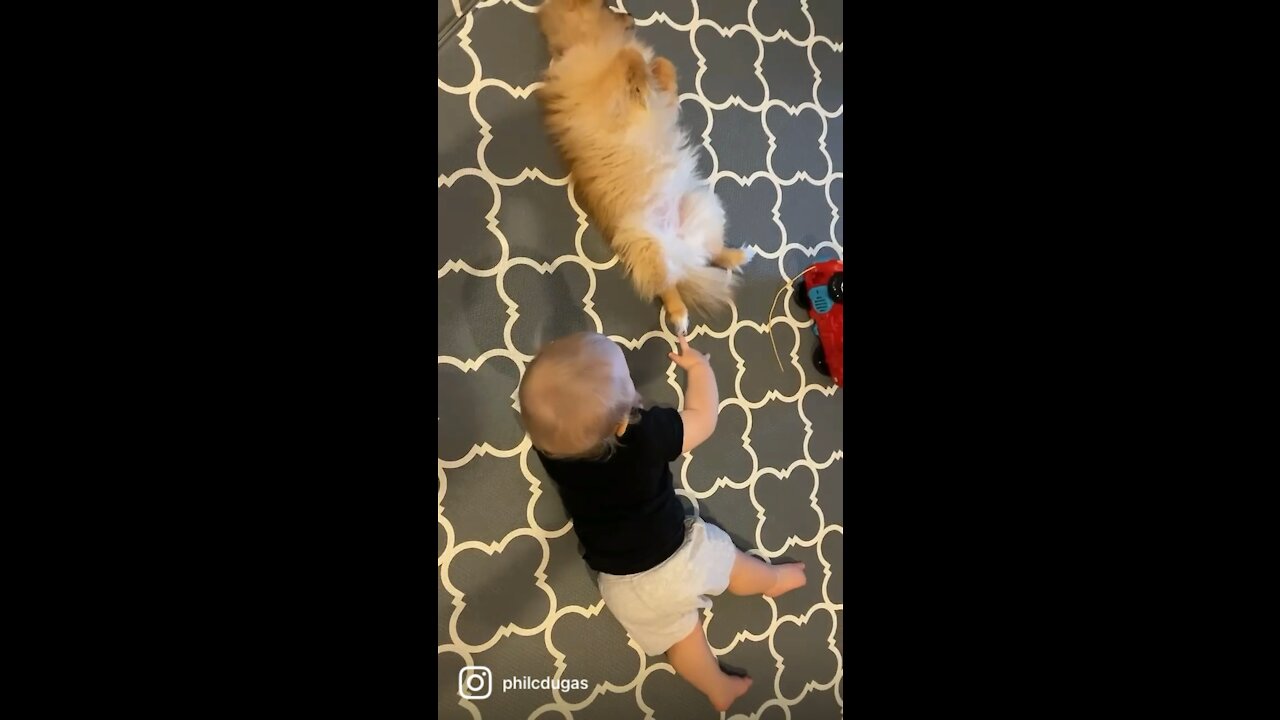 Baby Trying to Play With Dog But Dog Wanted to Relax.