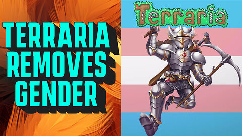 Terraria Promotes Disgusting DEI Gender Ideology