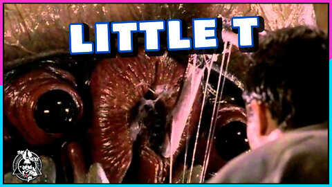 LITTLE T - the Whole Tip Daily