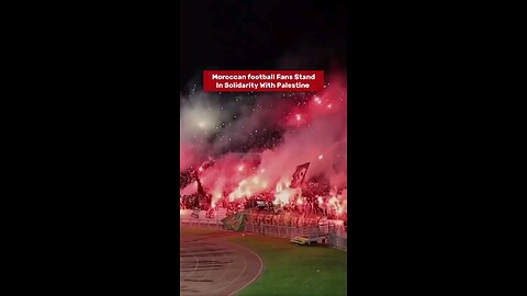 Moroccan football fans stand in solidarity with Palestine.