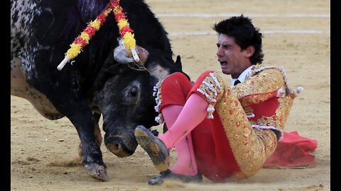 Best bullfighting festival funny crazy bull fails