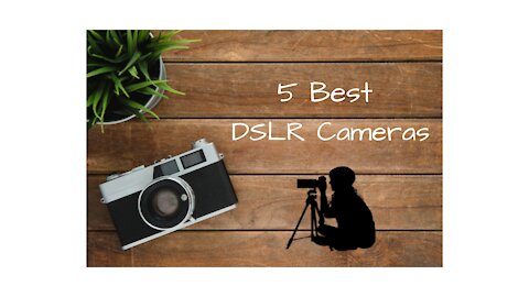 5 Best DSLR Cameras