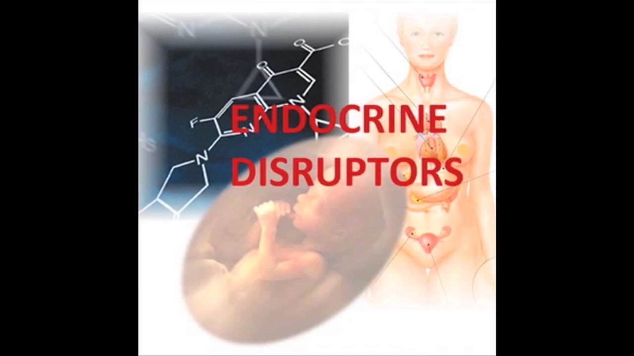 Endocrine Conspiracy