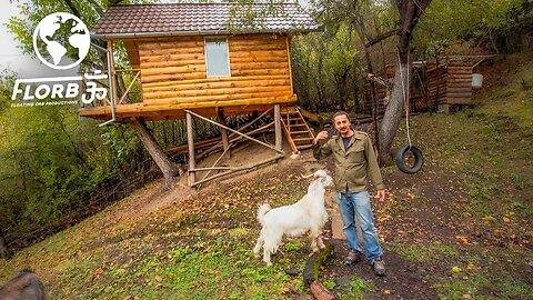They Built Beautiful Authentic Log Cabin Tree Houses in Transylvania