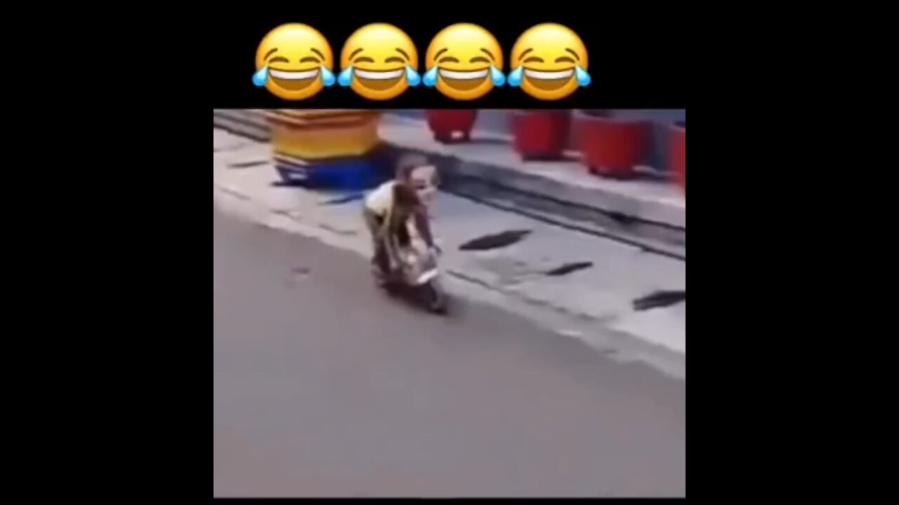 a Monkey drive a scooter🐒🐒