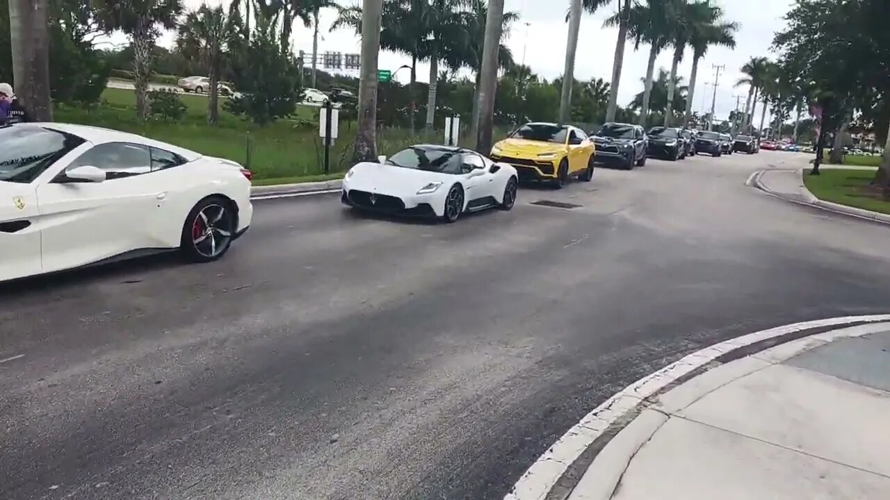 EXOTIC CAR SHOW