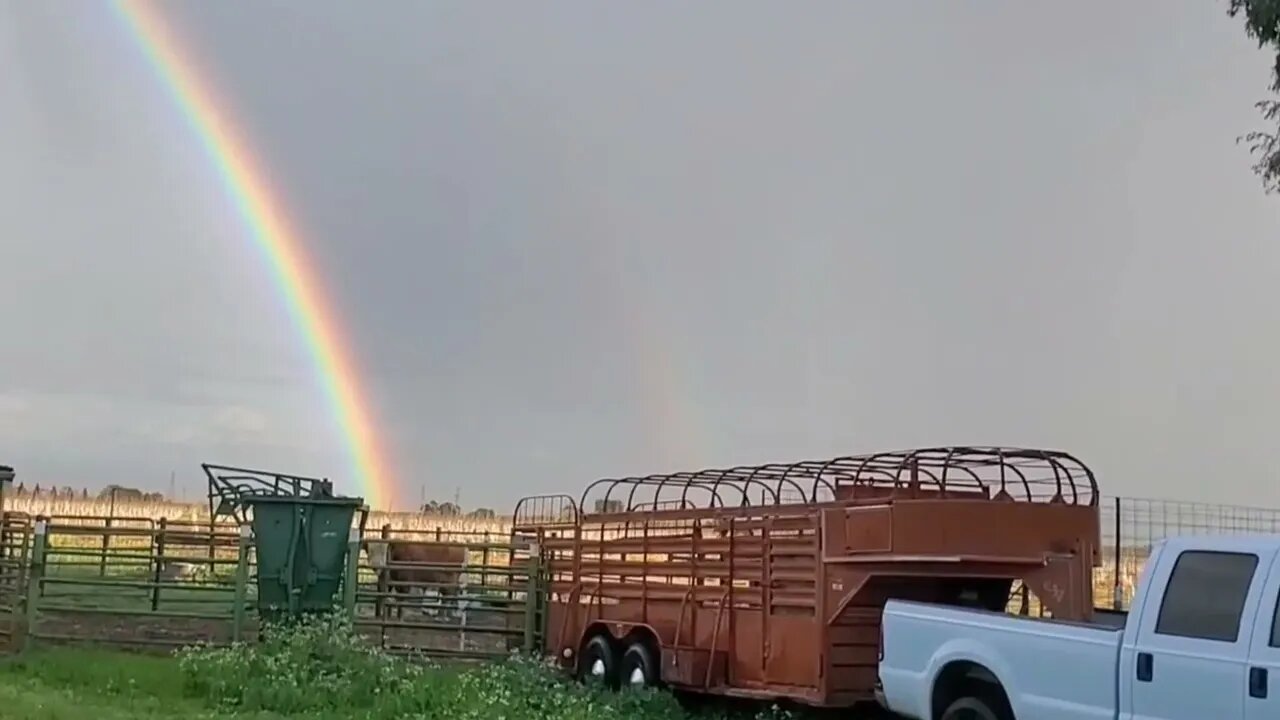 Channel Trailer - Porterhouse and Teal