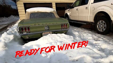 These Guys Must be Stopped!!! (1967 Mustang Winterization)