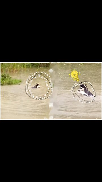 This time finally proved it for Erha!