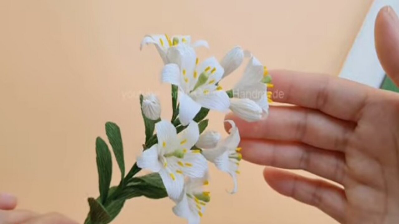 Murraya paniculate flowe making